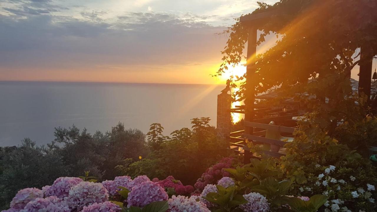 Sunriseview Suite And Gallery Ζαγορά Εξωτερικό φωτογραφία